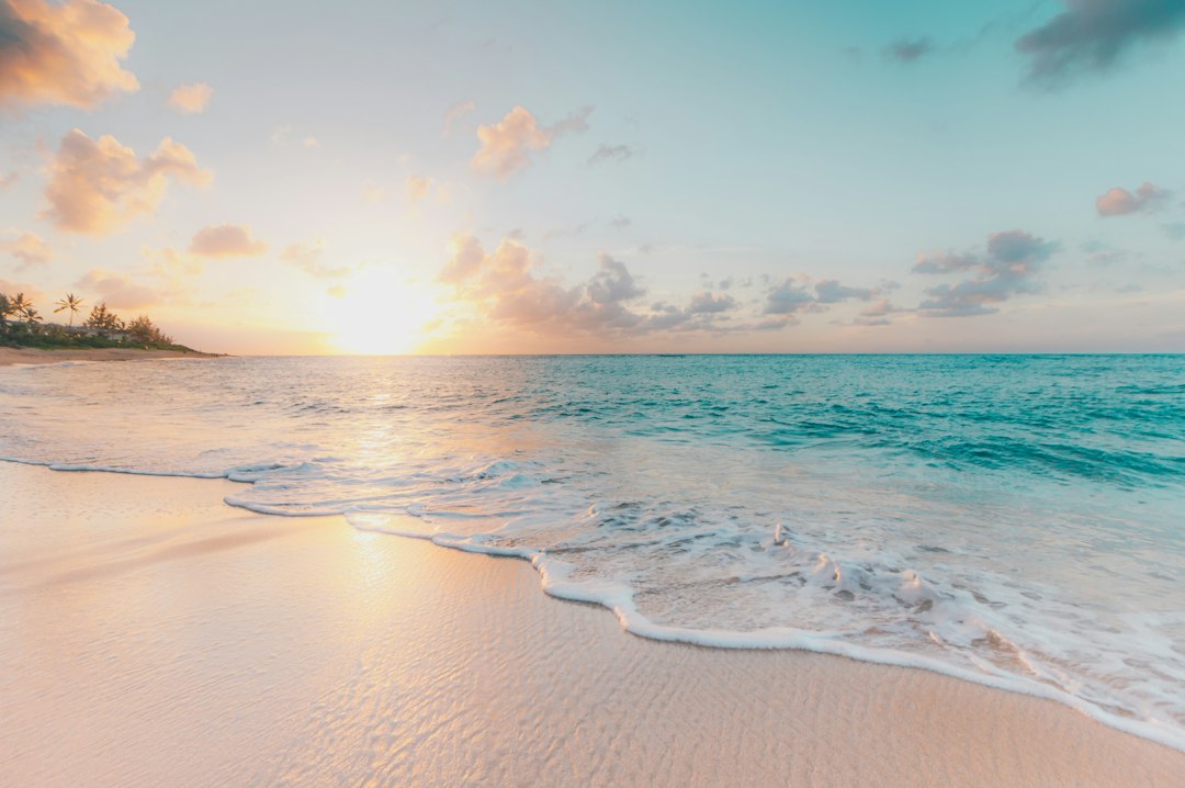 Mexico Beach Vacation Rental Investment Guide 2026